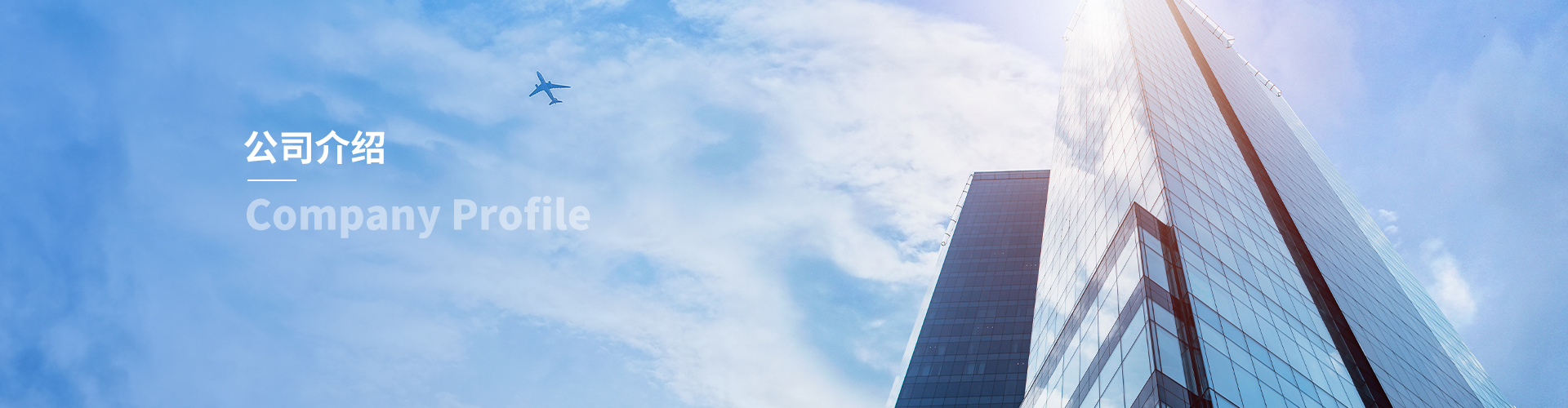 Company Profile-Shenzhen Maoteng Supply Chain Management Co., Ltd